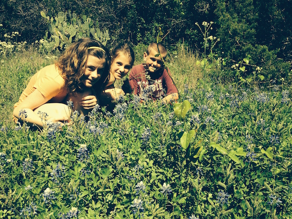 bluebonnets